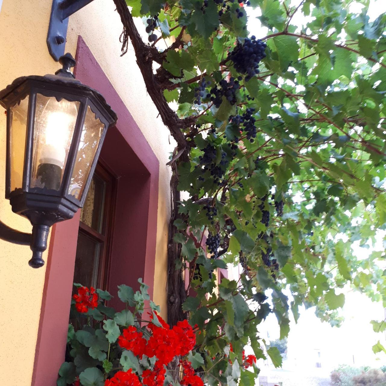 Landgasthof May Willanzheim エクステリア 写真